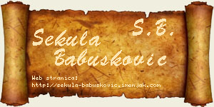 Sekula Babušković vizit kartica